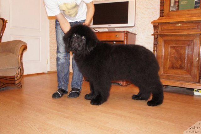 Фотография № 58776