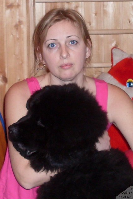 Фото: Светлана Старикова, ньюфаундленд Черный Шарм Буч Кесседи