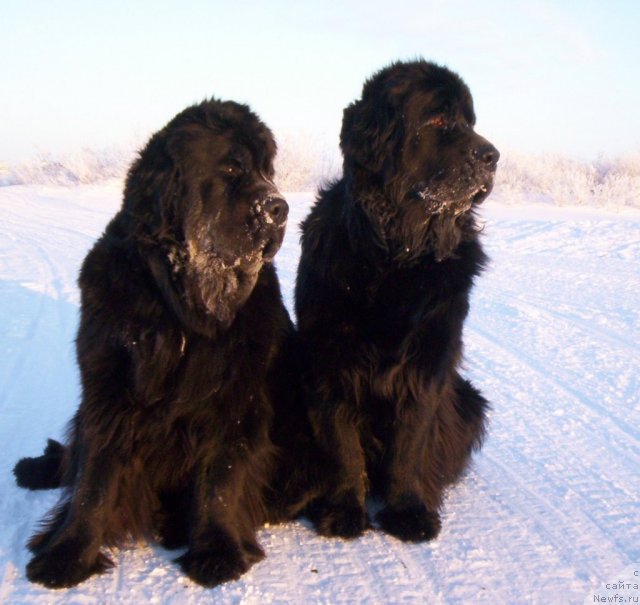 Фотография № 58783