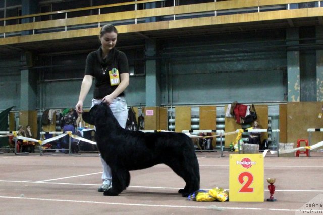 Фотография № 58792