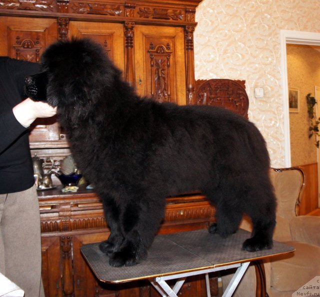 Фотография № 58812