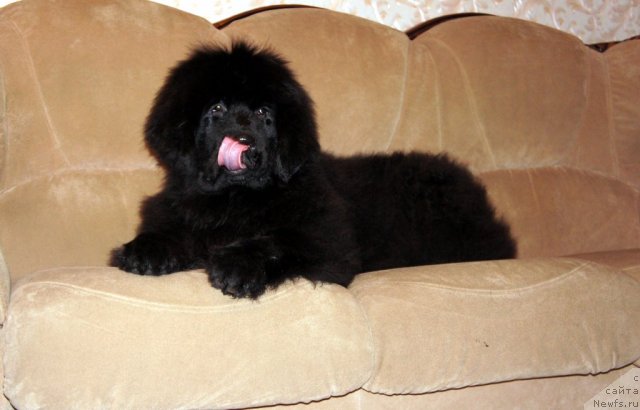 Фотография № 58816