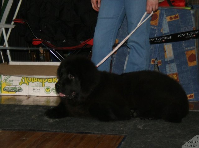 Фото: Фиаметтахауз Нусакан