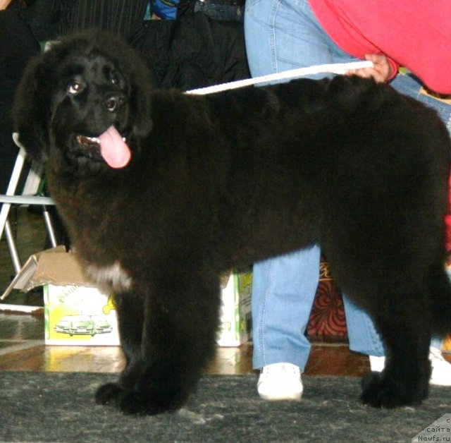 Фото: Фиаметтахауз Нусакан