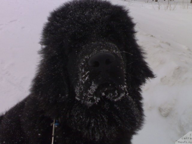 Фотография № 58961