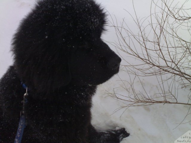 Фотография № 58963