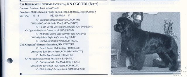 Фотография № 59050