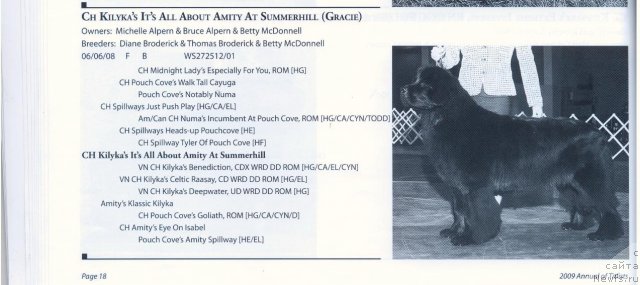 Фотография № 59055