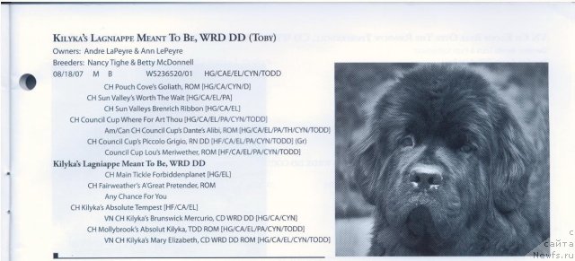 Фотография № 59058