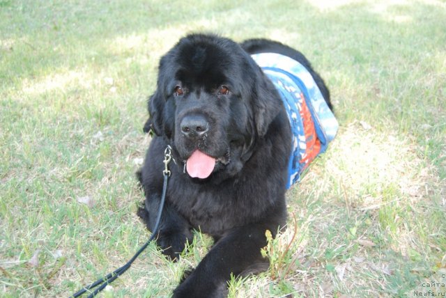 Фотография № 59103