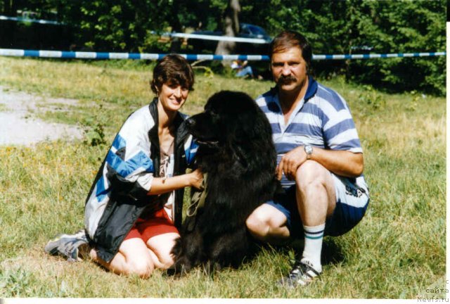 Фото: Игорь Михайлов, ньюфаундленд Смигар Отсан (Smigar Otsan), Наталия Михайлова