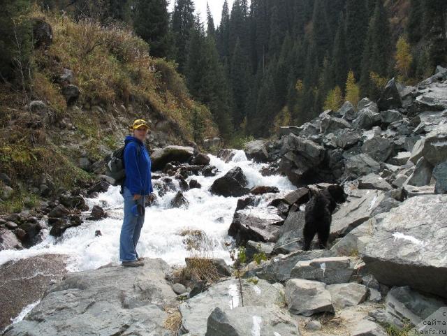 Фото: ньюфаундленд Маг Исполин Елана (Mag Ispolin Elana), Елена Зайцева (Замятина)