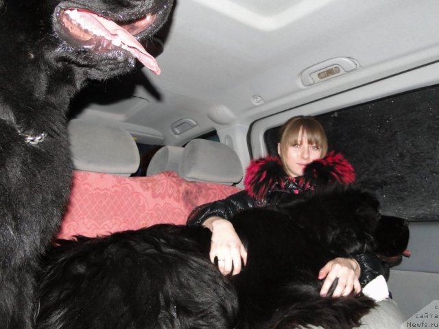 Фотография № 59149