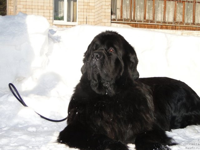 Фотография № 59150