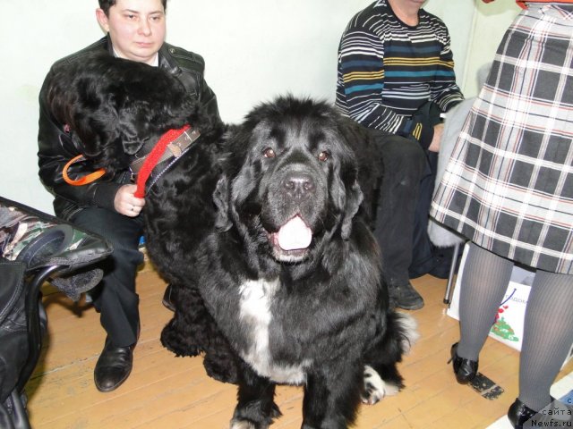 Фотография № 59155