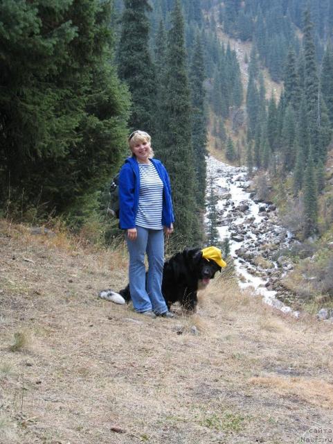 Фото: ньюфаундленд Маг Исполин Елана (Mag Ispolin Elana), Елена Зайцева (Замятина)