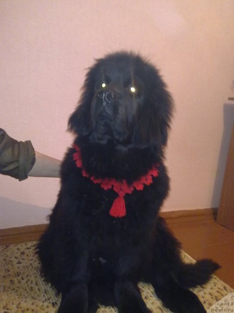 Фотография № 59162