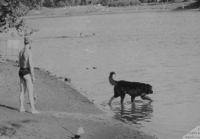 Фотография № 59172