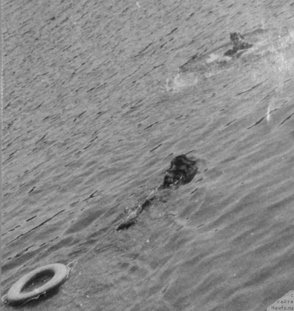 Фотография № 59173