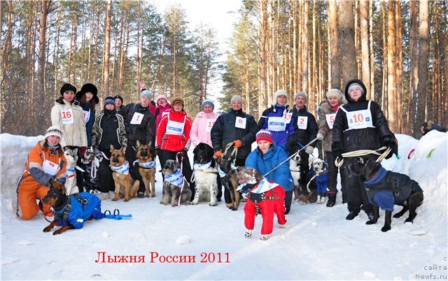 Фото: Собаководы города и их питомцы, ньюфаундленд Кипер Соул Жемчужина Белая, Марина Девятова