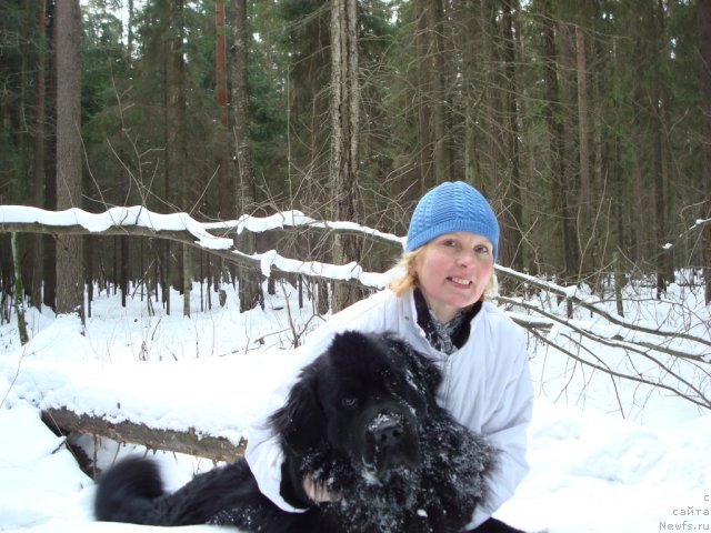 Фото: ньюфаундленд Смигар Дар Божий, Надежда Будилова