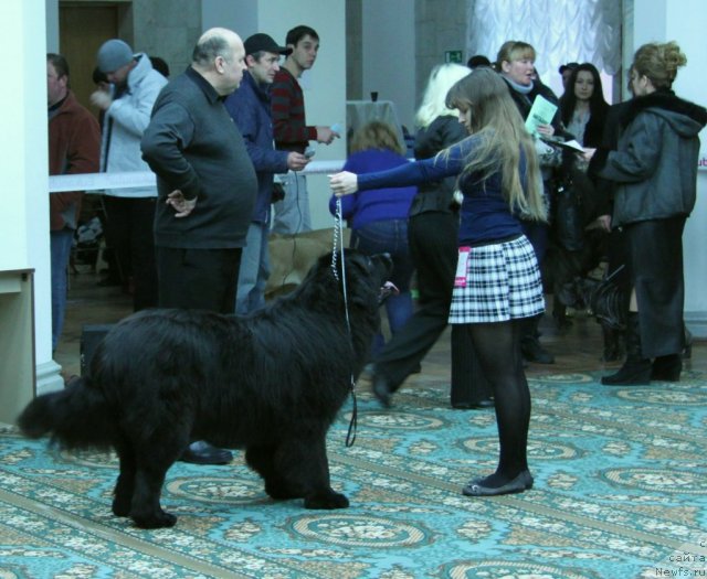 Фотография № 59291