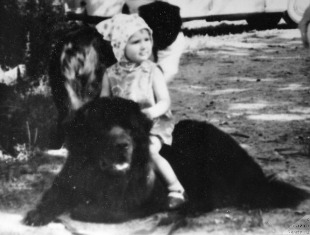 Фотография № 59292