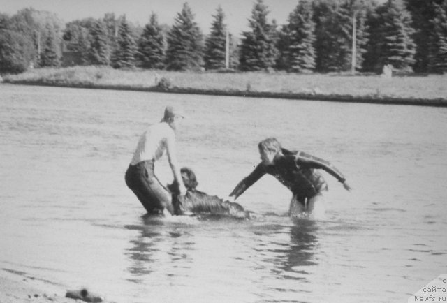 Фотография № 59294