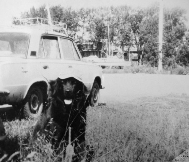 Фотография № 59299