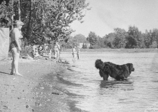 Фотография № 59302