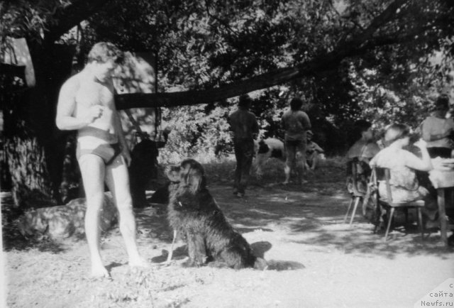 Фотография № 59305