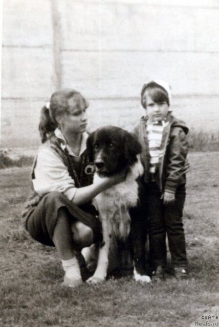 Фотография № 59306