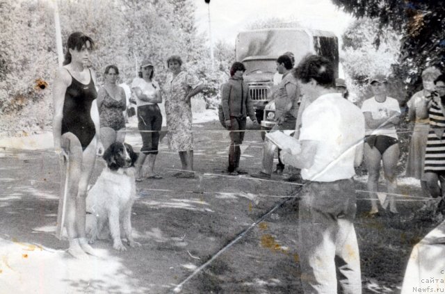 Фотография № 59307