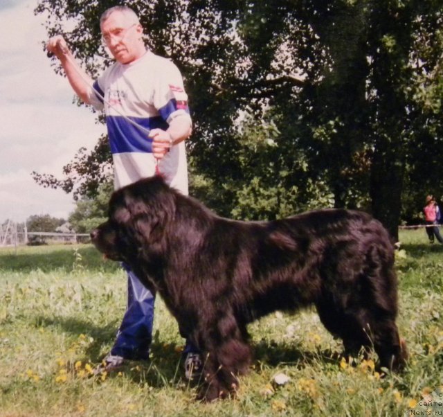 Фотография № 59309