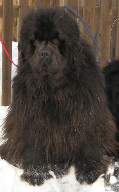 Фотография № 59349