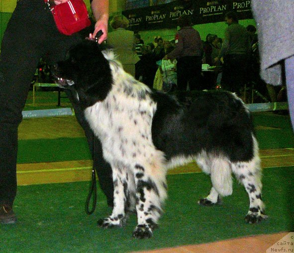 Фотография № 59353