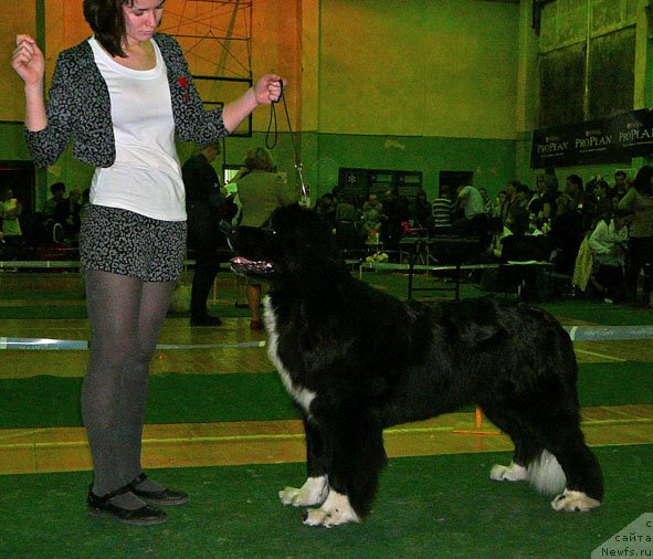 Фотография № 59355