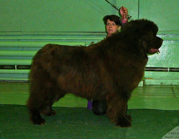 Фотография № 59358