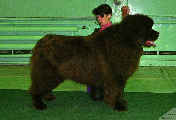 Фотография № 59359