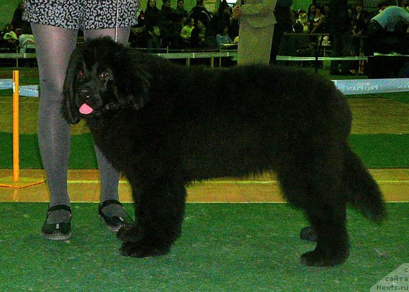 Фотография № 59361