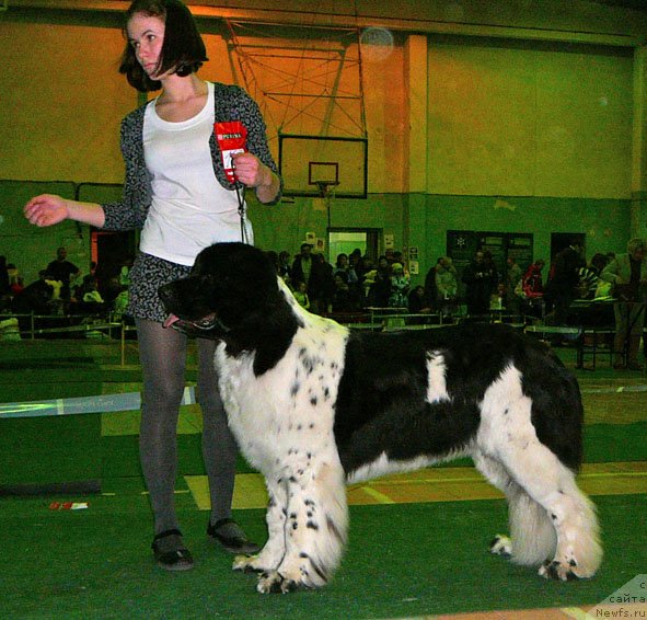 Фотография № 59362