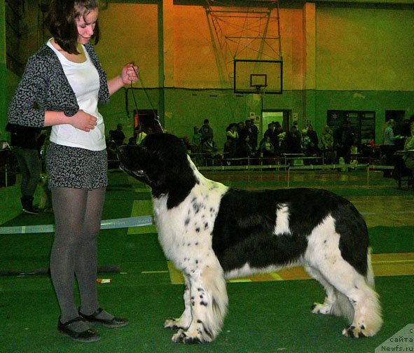 Фотография № 59363