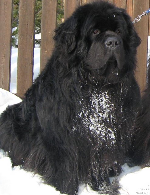 Фотография № 59367