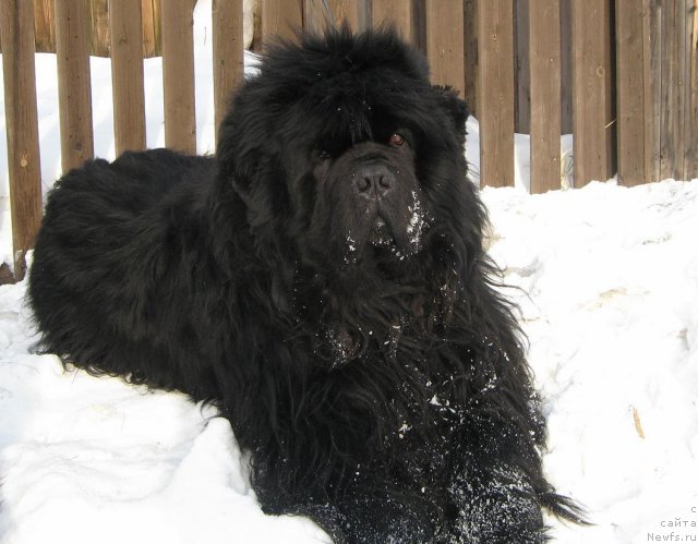 Фотография № 59369