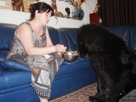 Фотография № 59382