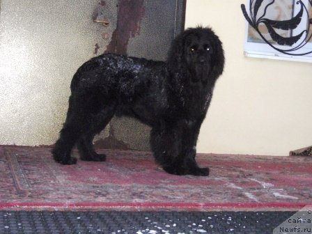 Фотография № 59384