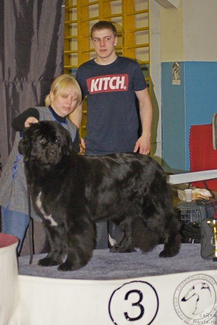 Фотография № 59407