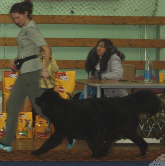 Фотография № 59409