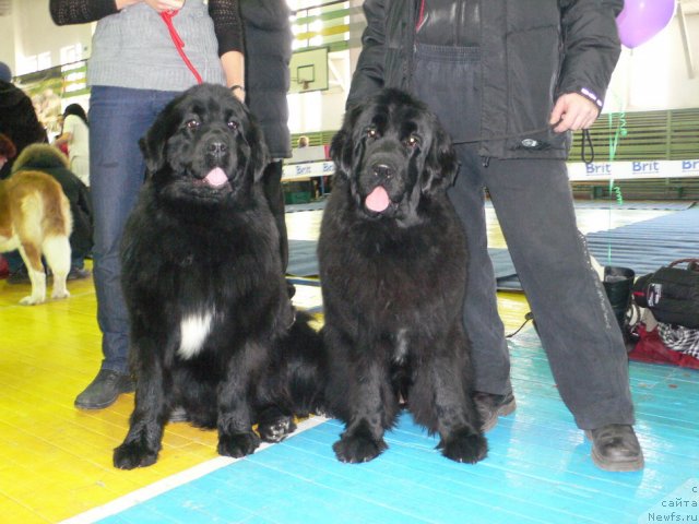 Фотография № 59415