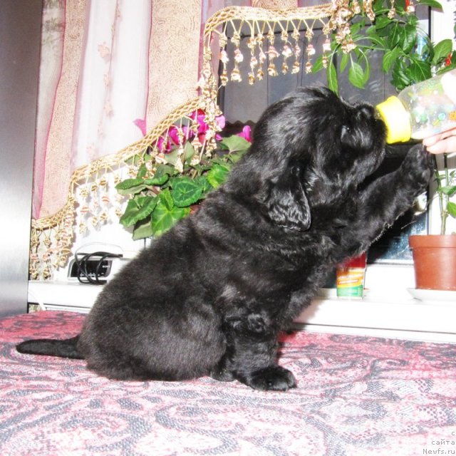 Фотография № 59464